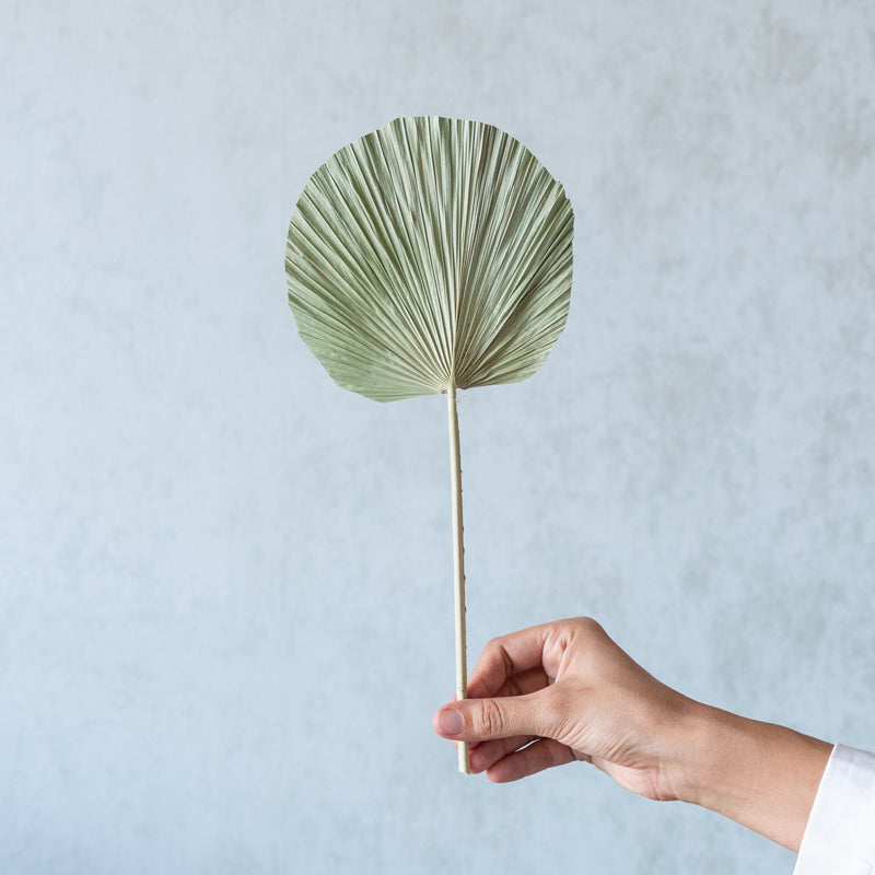 Sheiraa handmade Palm Leaf Stick - Set Of Five media 3