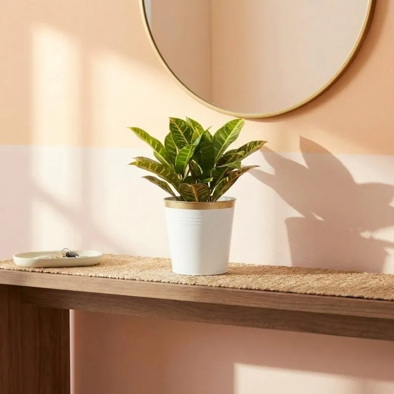 Leafora Iron Planter - White media 4