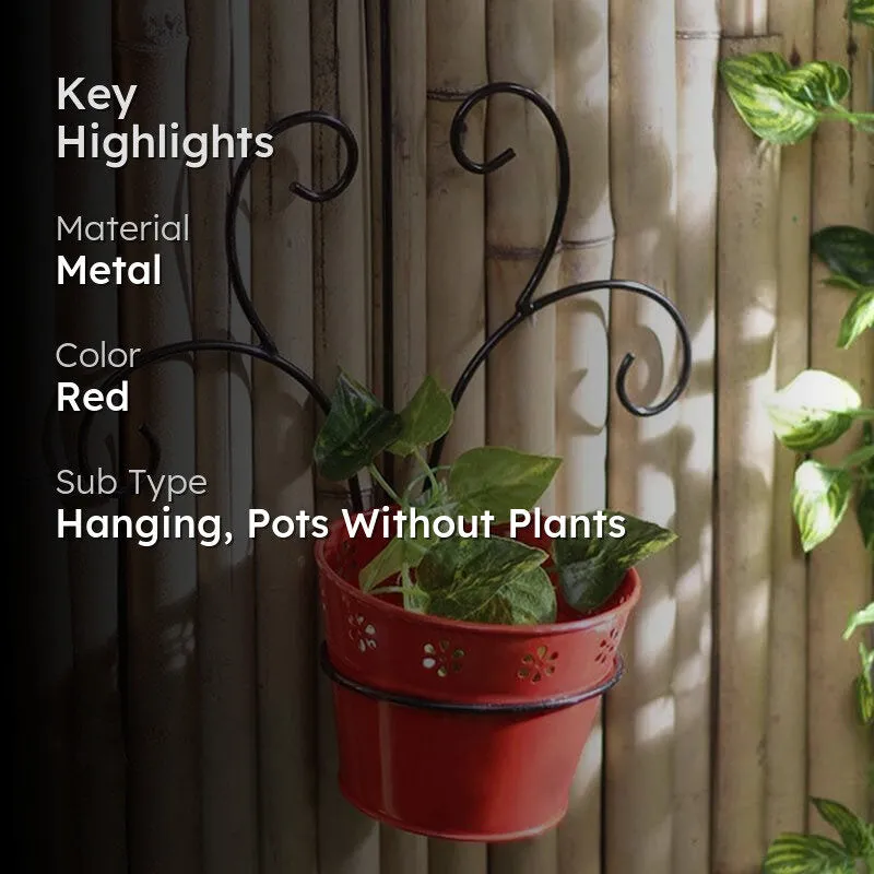 Radiant Sunshine Planter- Red media 2