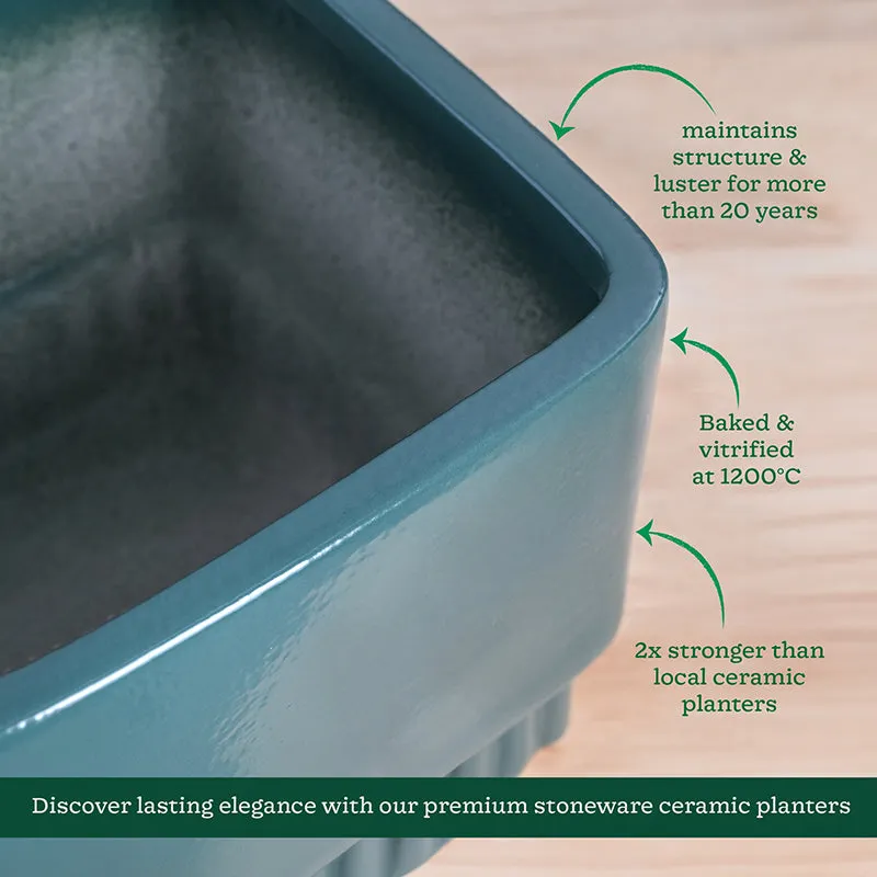 Ugaoo Sleepy Sprout Square Ceramic Planter - Green media 6