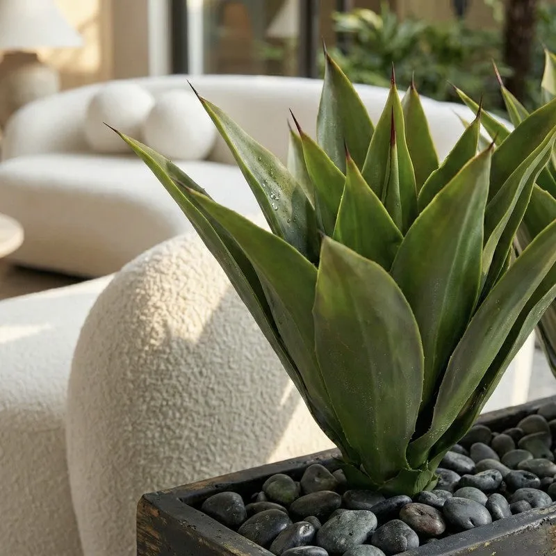 Aurelo Artificial Agave Plant With Black Plastic Pot - 1.5 ft media 4