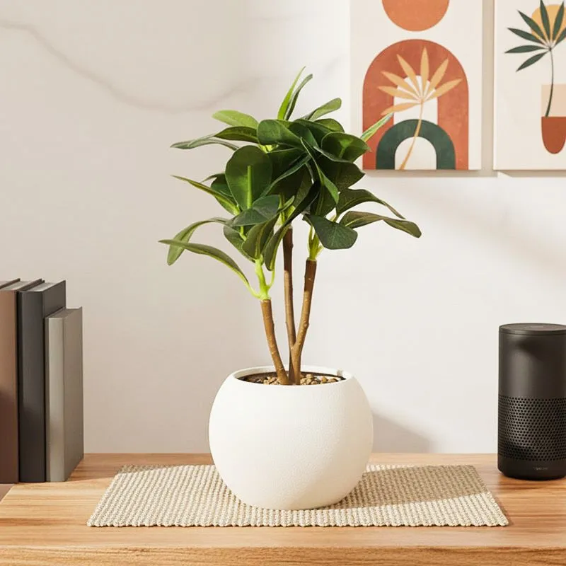Ficus Bonsai Artificial Plant With Black Plastic Pot - Green media 1