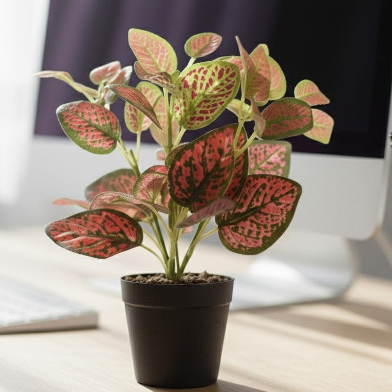 Artificial Nerve Plant With Black Fiber Pot (Red) - 0.9 Feet media 5