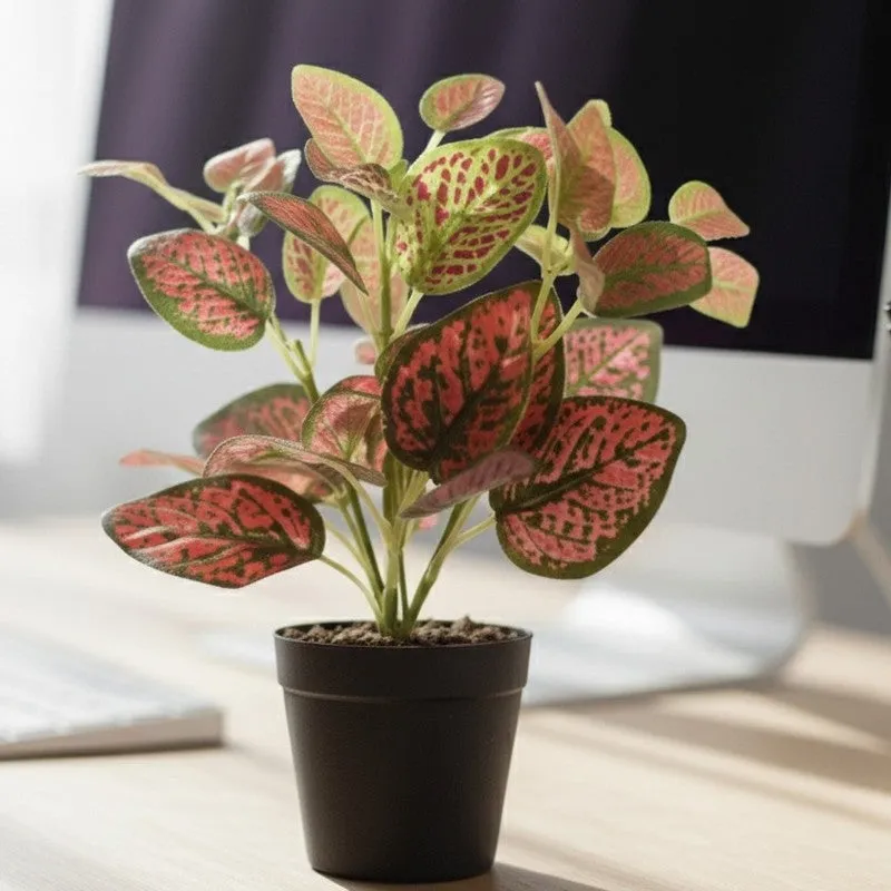 Artificial Nerve Plant With Black Fiber Pot (Red) - 0.9 Feet media 5