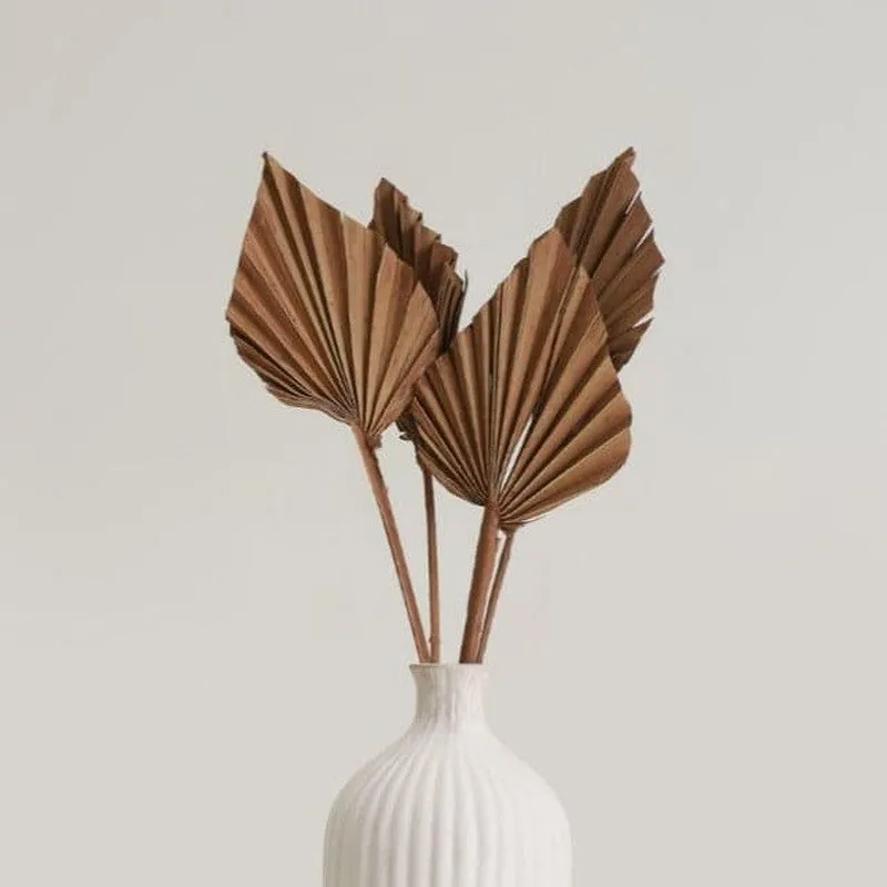 Palzi Dried Palm Stick (Brown) - Set Of Five media 1