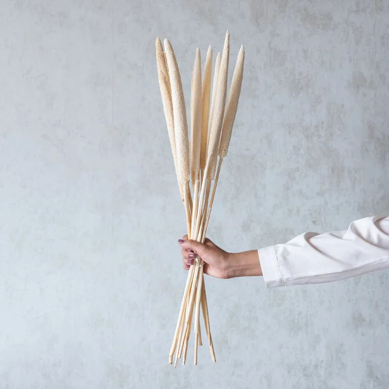 Siva Dried Millet Stick (White) - Set Of Ten media 1