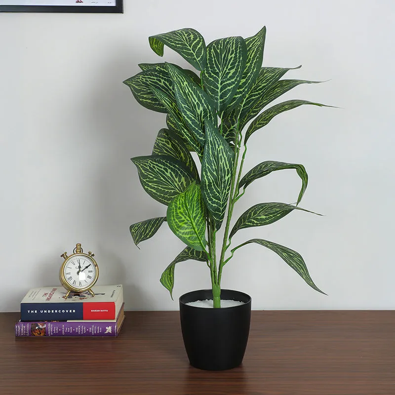 Amazonia Artificial Variegated Croton Plant With Black Plastic Pot - 2.3 Feet media 3