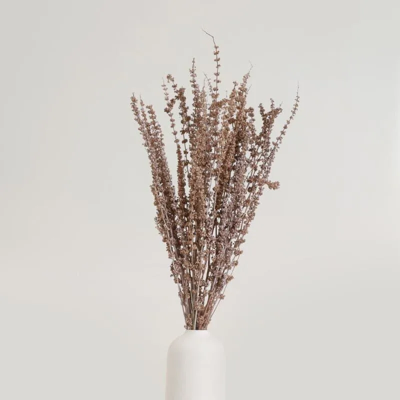 Plato Dried Palm Millet Grass Bunch - Beige media 1