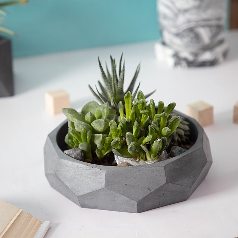 Norsa Concrete Planter media 2