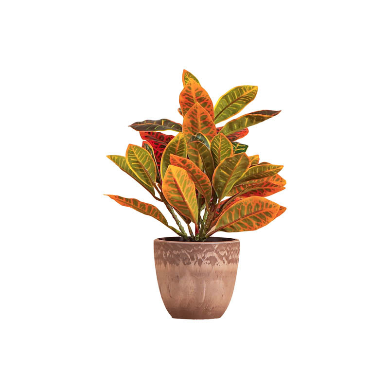 Artificial Garden Croton Plant With Black Plastic Pot (Set Of Two) - 1 Feet media 6