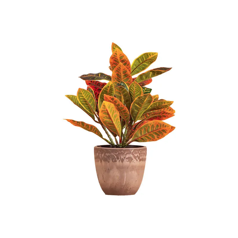 Artificial Garden Croton Plant With Black Plastic Pot (Set Of Two) - 1 Feet media 6