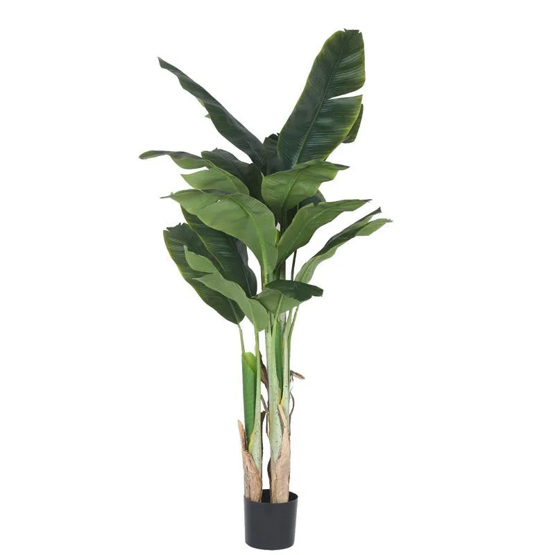 Faux Realtouch Banana Plant With Black Plastic Pot - 5.9 Feet media 4