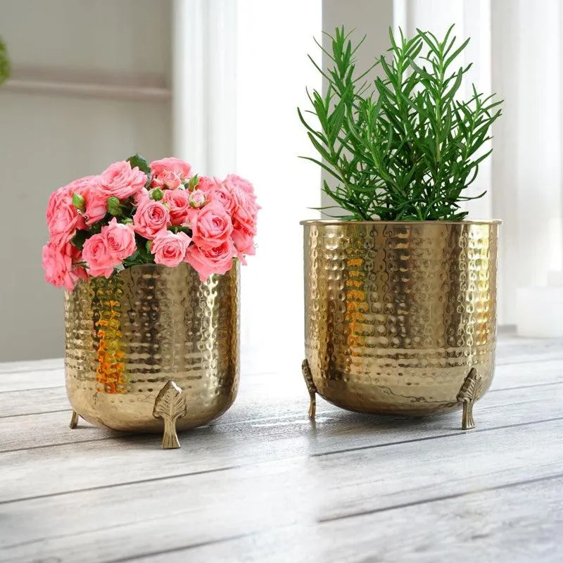 Finasa Metal Hammered Planter (Gold) - Set Of Two media 4