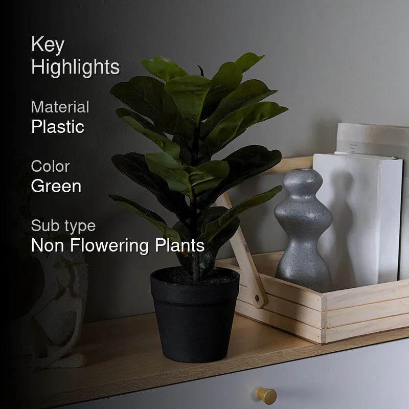 Fidelia Artificial Fiddle Fig Plant - 1 Feet media 2