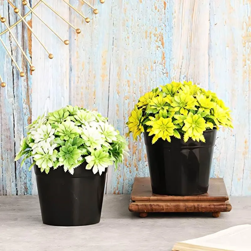Aster Faux Plant In Sadro Pot - Set Of Two media 1