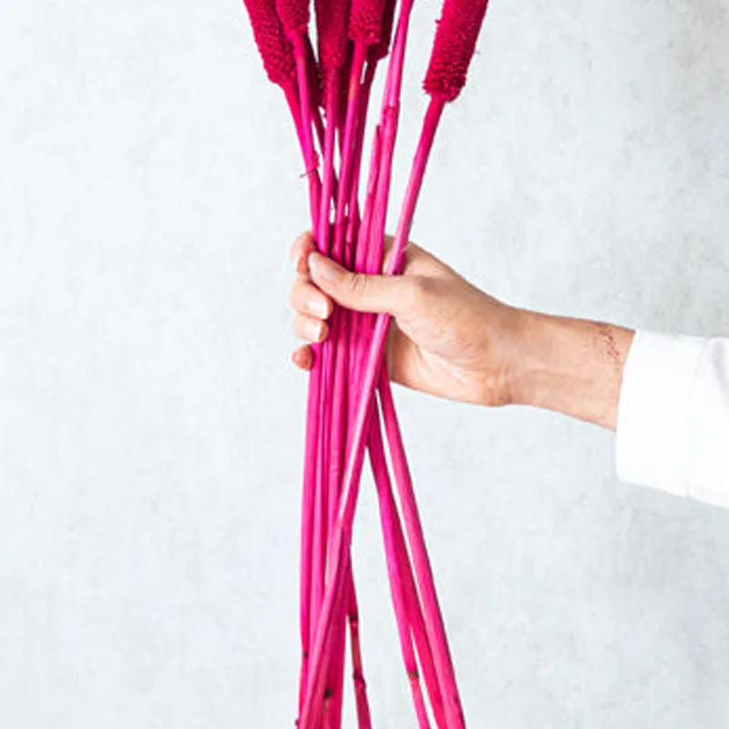 Sival Dried Millet Stick (Red & Pink) - Set Of Ten media 5