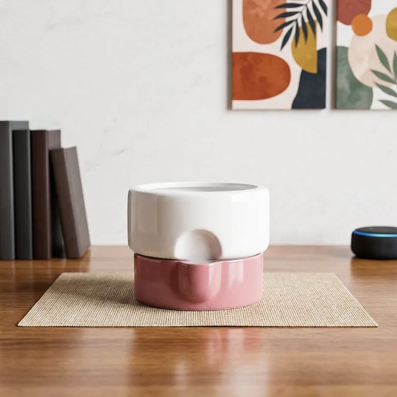 Ugaoo Lady Leafington Ceramic Planter - White & Pink media 1