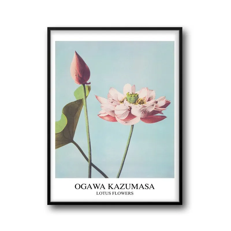 Lotus Ogawa Kazumasa Archival Canvas Wall Painting - Black Frame media 6