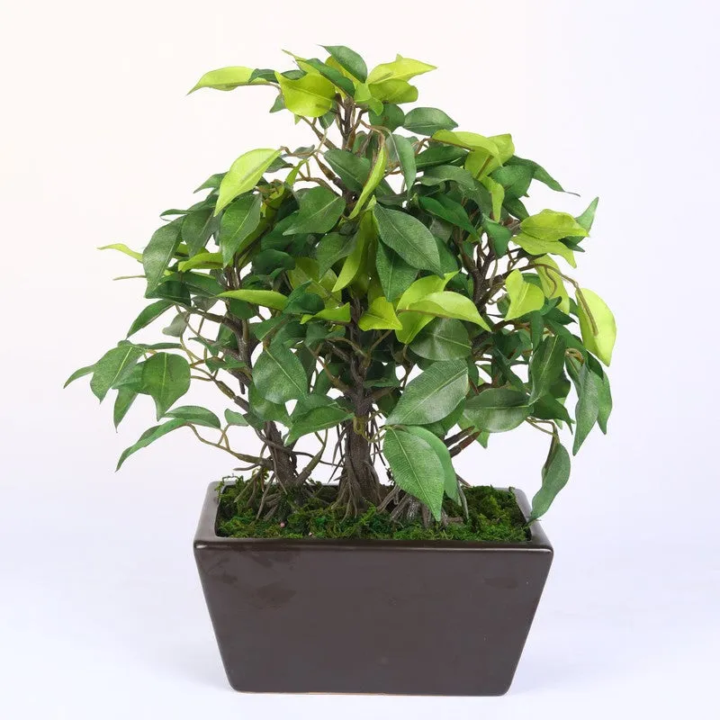 Green Ficus Artificial Bonsai Plant With Ceramic Pot - 1 Feet media 4