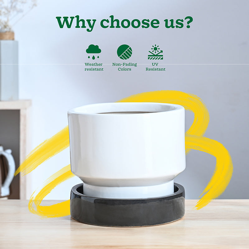 Ugaoo Pot-fection Ceramic Planter - White & Dark Grey media 7