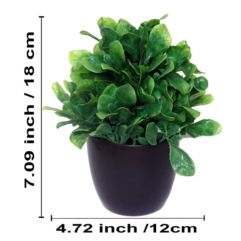 Faux Shamrock Leaf Plant With Black Plastic Pot - Set Of Two media 4