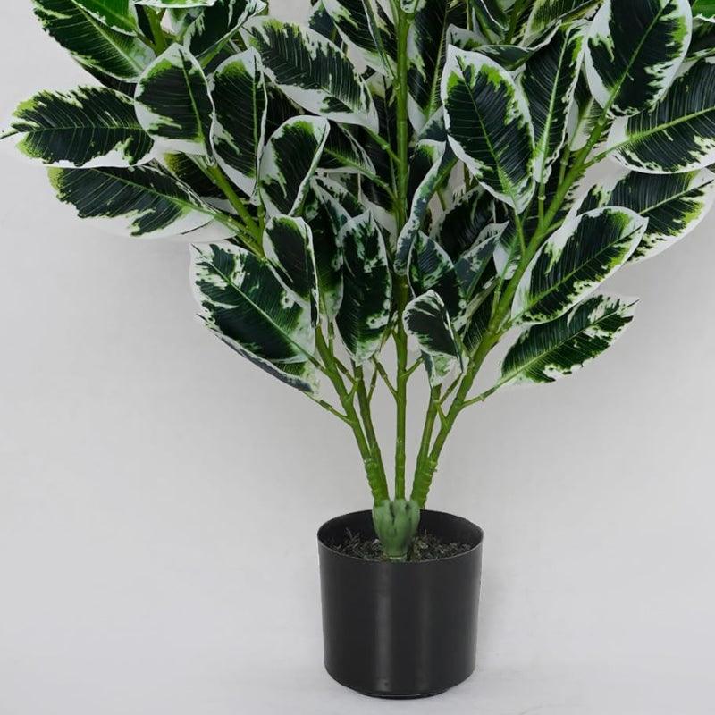 Faux Zebra Plant With Black Plastic Pot - 2.79 ft media 4