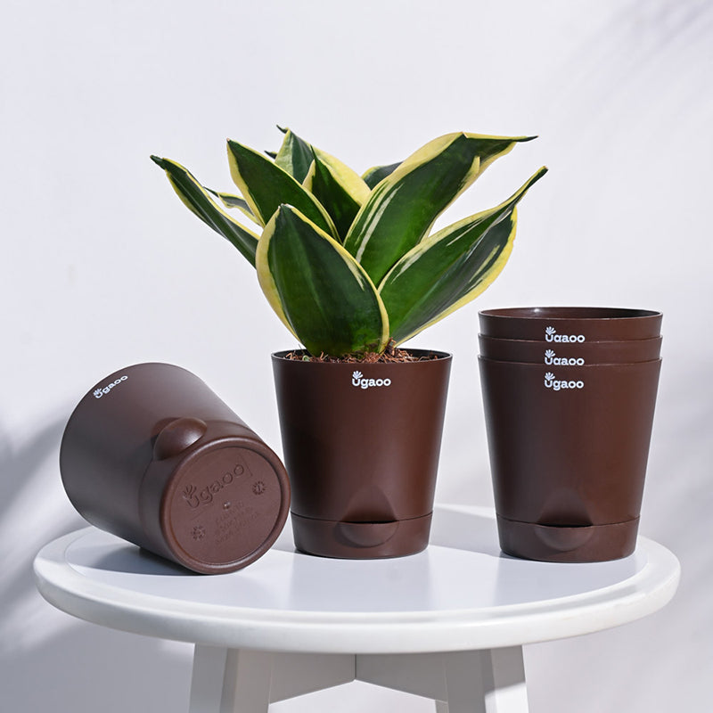 Ugaoo Bare Root Plastic Planter (Brown) - Set Of Five media 2