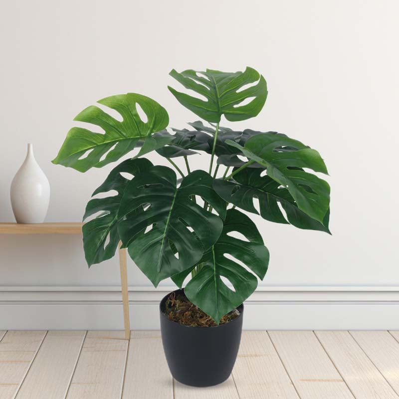 Lush Tropiks Artificial Mostera Plant With Black Plastic Pot -  1.8 Feet media 2