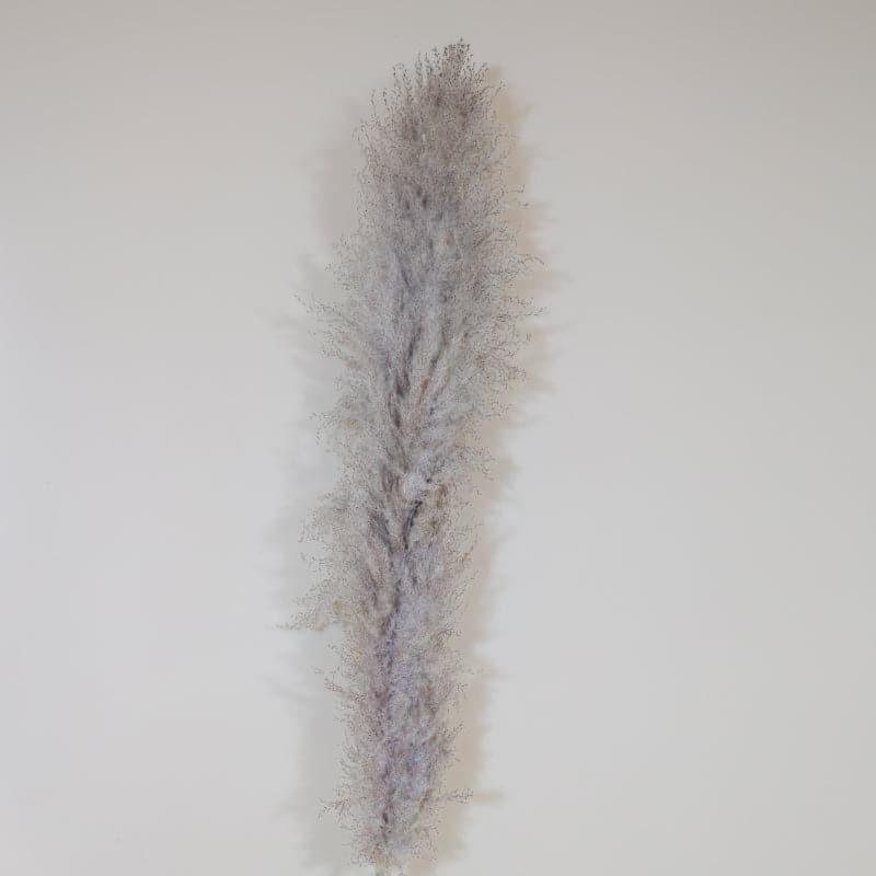 Pomi Naturally Dried Pampas Stick (Grey) - Set Of Five media 3