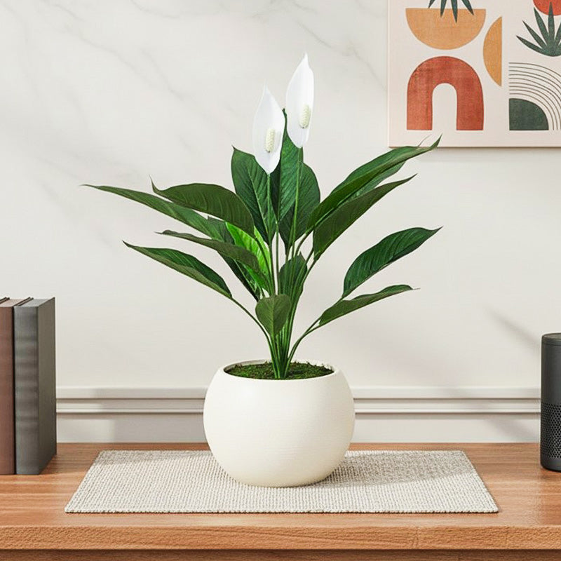 Foliage Flourish Artificial Plant With Black Plastic Pot