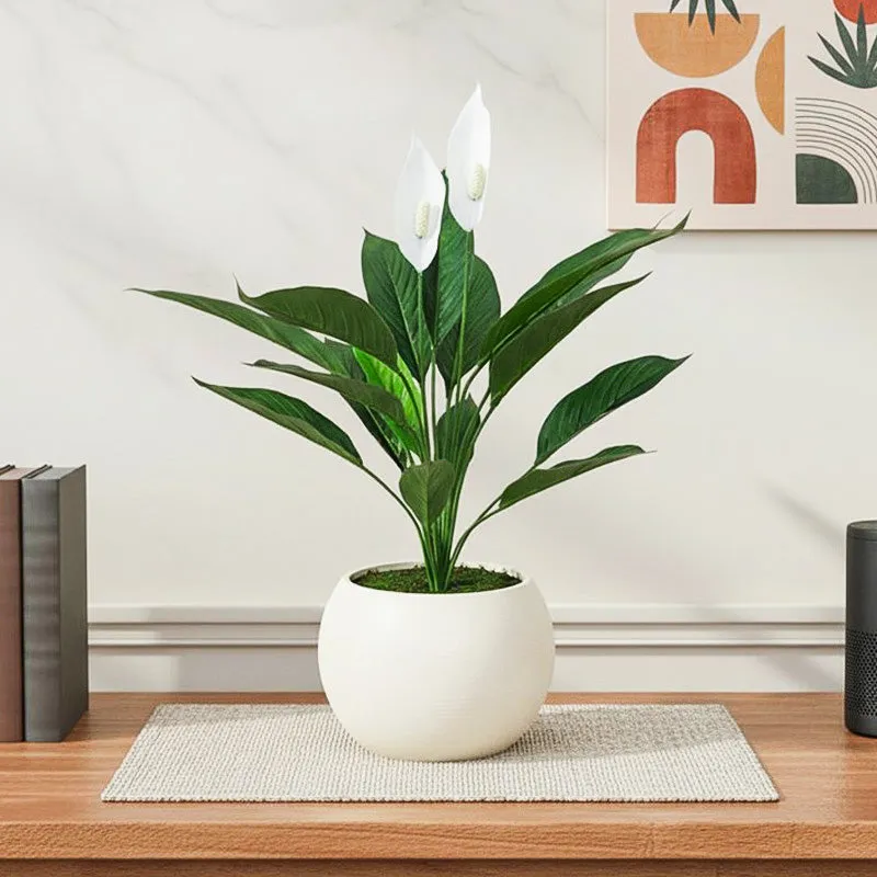 Foliage Flourish Artificial Plant With Black Plastic Pot media 1