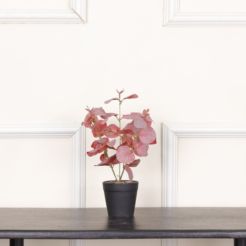 Artificial Eucalyptus Plant With Black Fiber Pot (Pink) - 1 Feet media 3