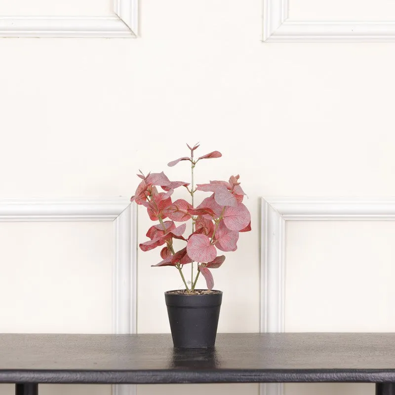 Artificial Eucalyptus Plant With Black Fiber Pot (Pink) - 1 Feet media 3