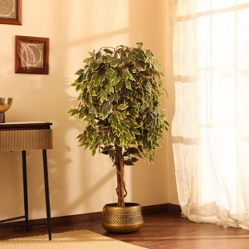 Artificial Variegated Ficus Plant With Black Plastic Pot - 5 ft media 5