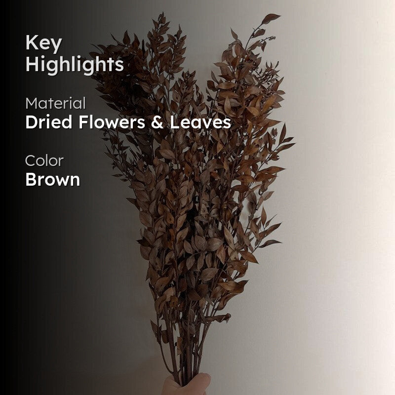 Dried Ruscus Bunch (Brown) - Set Of Three media 2