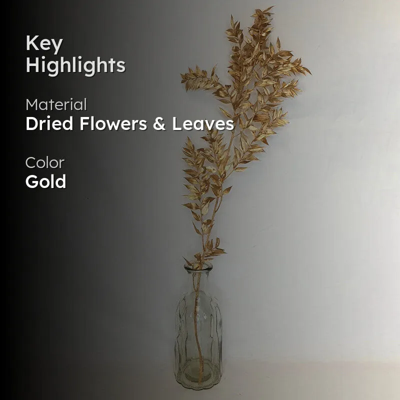 Dried Ruscus Bunch (Gold) - Set Of Three media 2