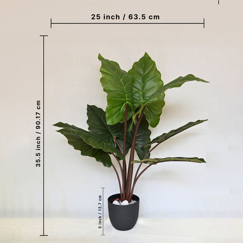 Faux Everlasting Alocasia Plant With Black Plastic Pot - 90 cm (3 ft) media 5