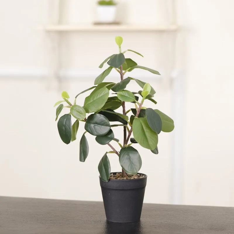 Artificial Dark Green Natural Looking Quercus Leaf Plant With Black Fiber Pot - 1.2 Feet media 5