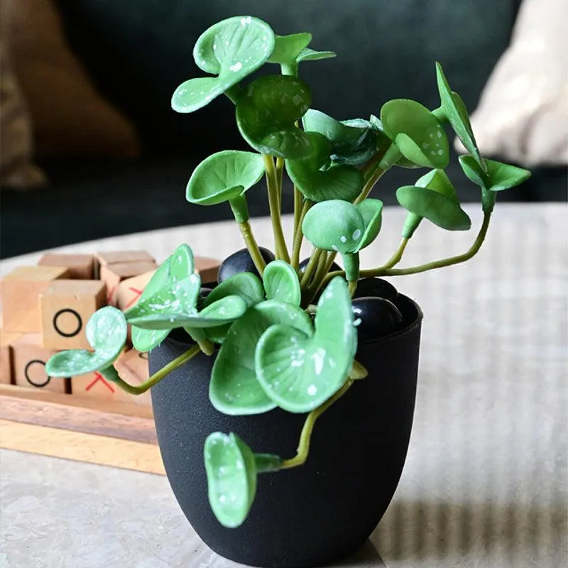 Pennelle Artificial Leaf Pennywort With Black Plastic Pot (Green) - 13 cm media 4