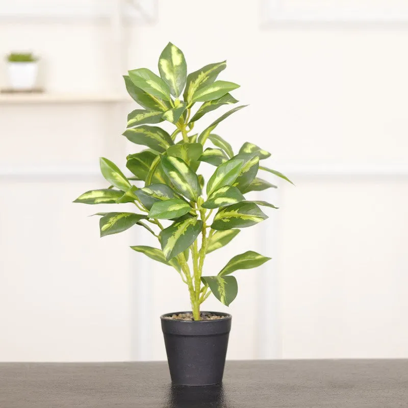 Artificial Croton Leaf Plant With Black Fiber Pot (White) - 1.3 Feet media 3