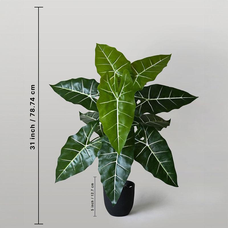 Faux Everlasting Caladium Plant With Black Plastic Pot - 79 cm (2.6 ft) media 5