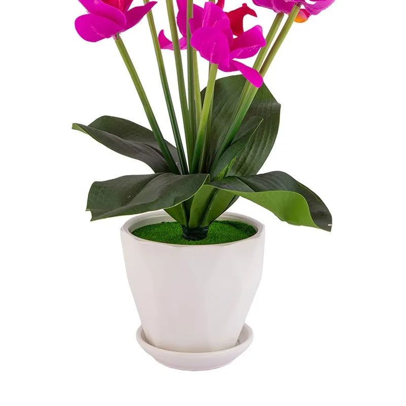 AarviDecor Vivid Bloom Silk Artificial Plants media 7