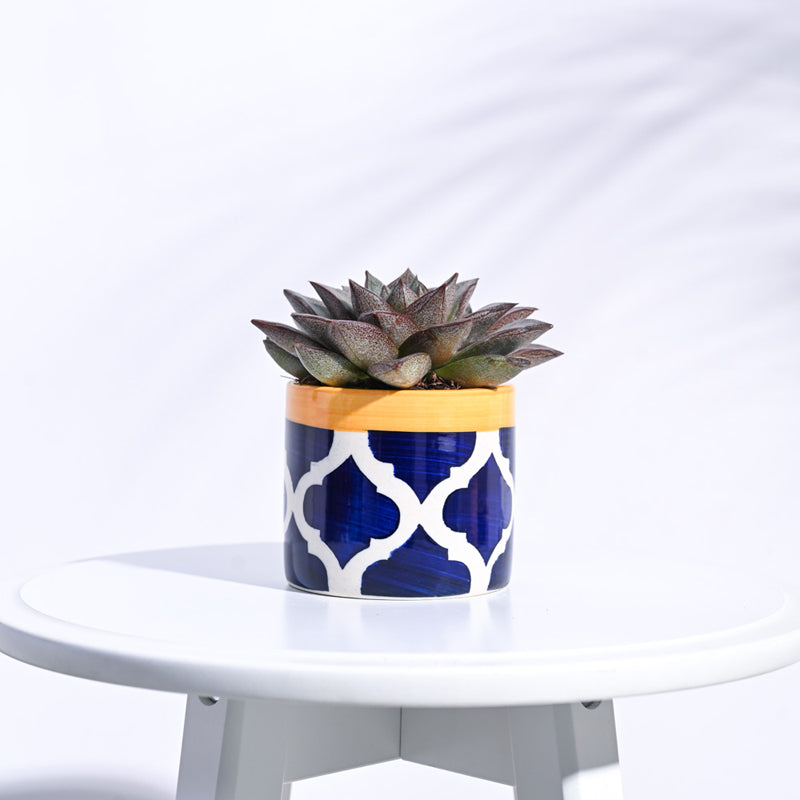 Ugaoo Pipe Rose Blue Ceramic Pot media 3