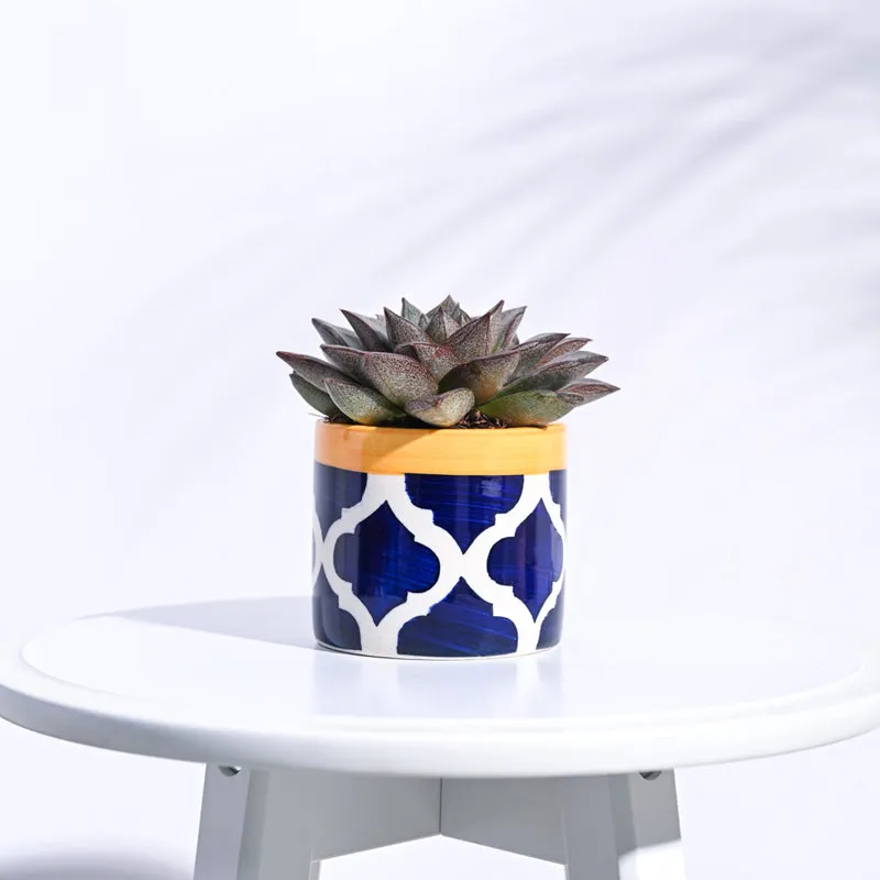 Ugaoo Pipe Rose Blue Ceramic Pot media 3