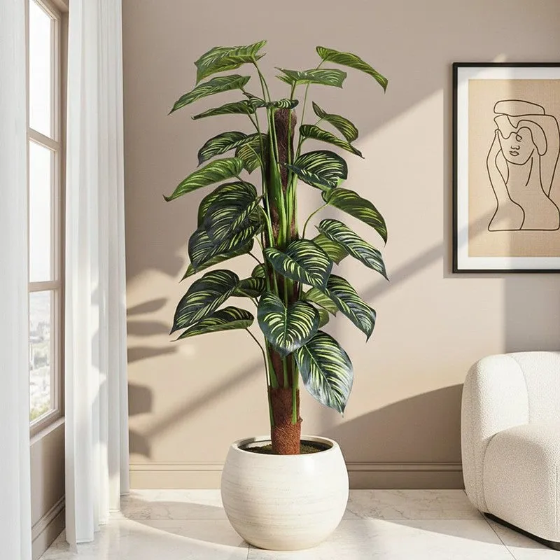 Faux Lush Peperomia Plant With Black Plastic Pot -  4 Feet media 1