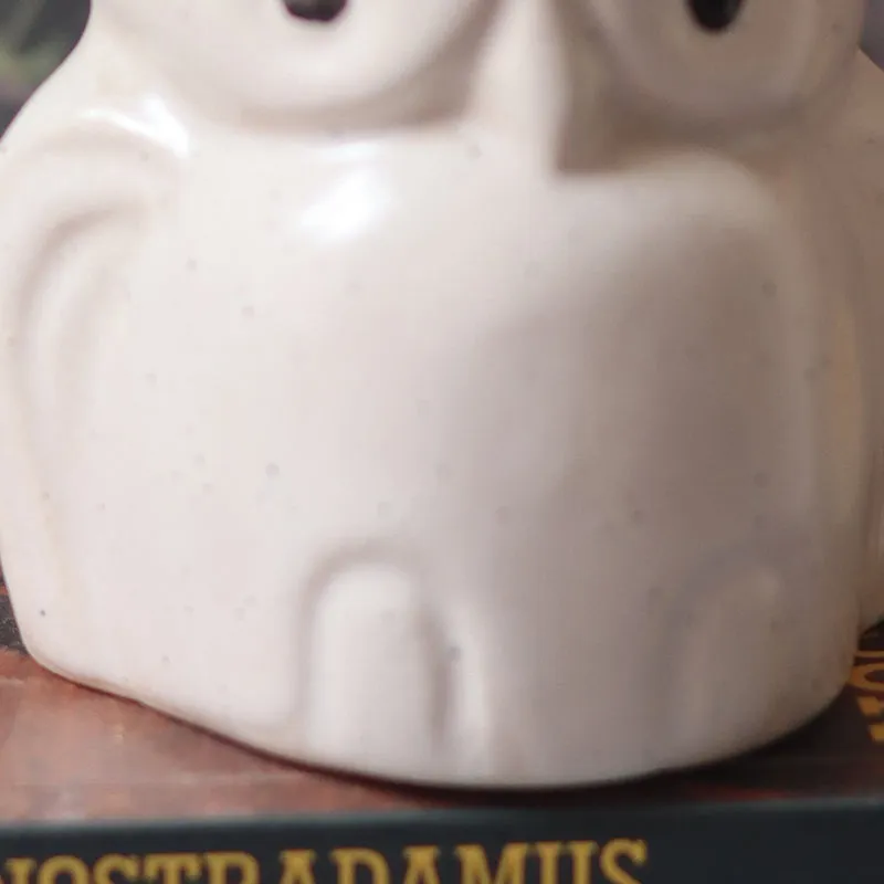 Wise Owl Ceramic Planter media 3