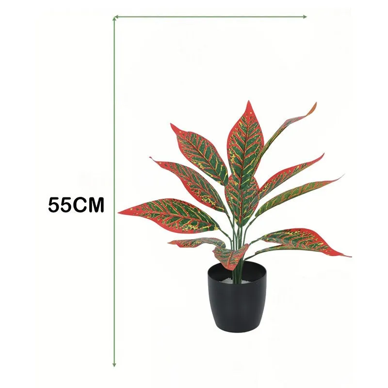 Edena Artificial Red Croton With Black Plastic Pot - 1.6 Feet media 6