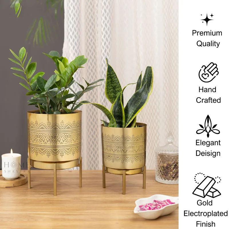 Vinyas Raaga Golden Planter with Stand - Set of Two media 6