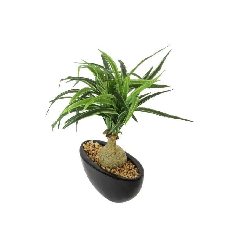 Faux Nolina Bonsai In Ceramic Pot - 29 cms media 4