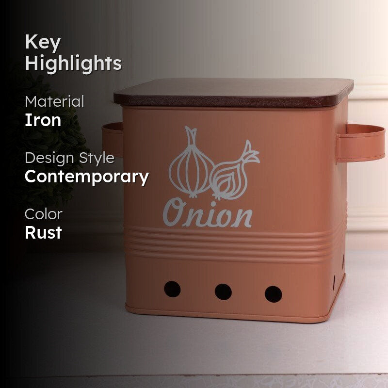 Ferrous Fun Rectangle Onion Iron Box - 10 L media 2